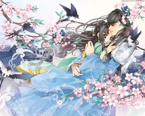 狼窝在线导航